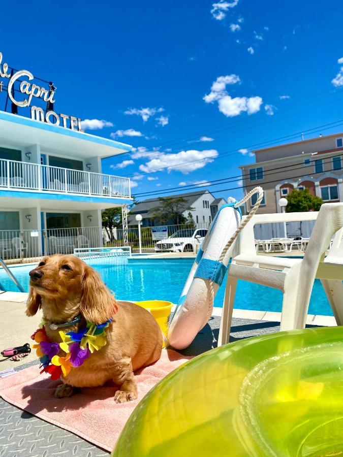 Isle Of Capri Motel North Wildwood Exterior photo